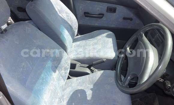 Tenga Tsaru Toyota Tacoma Sirivha Mota in Beitbridge in Matabeleland South Tenga Tsaru Toyota Tacoma Sirivha Mota in Beitbridge in Matabeleland South