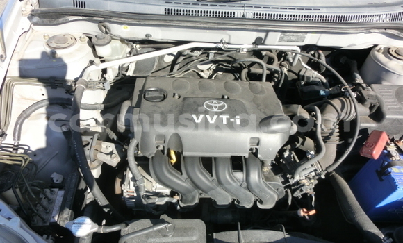 Acheter Occasion Voiture Toyota Runx Gris à Beitbridge, Matabeleland South Acheter Occasion Voiture Toyota Runx Gris à Beitbridge, Matabeleland South