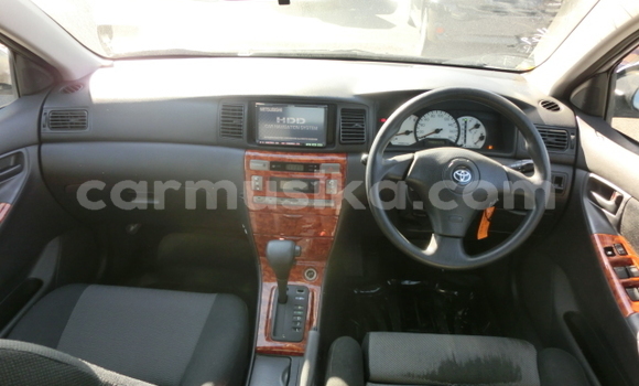 Acheter Occasion Voiture Toyota Runx Gris à Beitbridge, Matabeleland South Acheter Occasion Voiture Toyota Runx Gris à Beitbridge, Matabeleland South