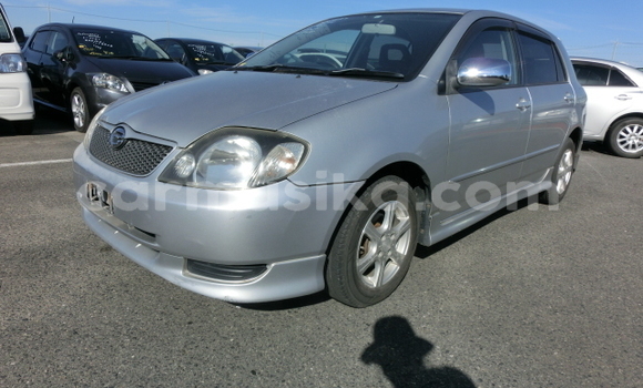 Acheter Occasion Voiture Toyota Runx Gris à Beitbridge, Matabeleland South Acheter Occasion Voiture Toyota Runx Gris à Beitbridge, Matabeleland South