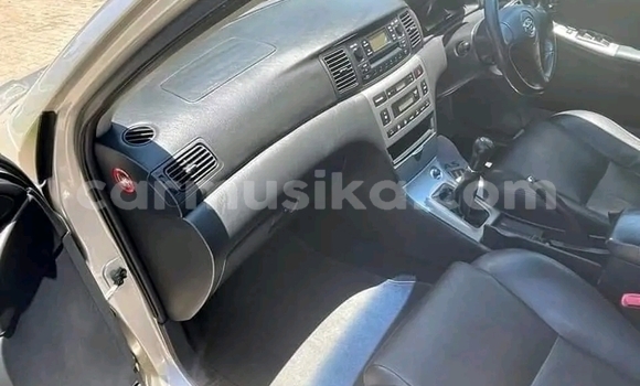 Buy Used Toyota Runx Silver Car in Beitbridge in Matabeleland South Buy Used Toyota Runx Silver Car in Beitbridge in Matabeleland South