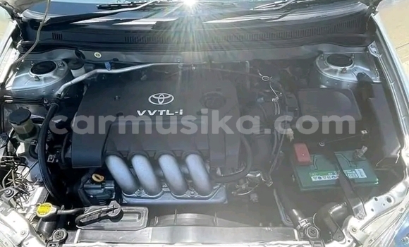 Buy Used Toyota Runx Silver Car in Beitbridge in Matabeleland South Buy Used Toyota Runx Silver Car in Beitbridge in Matabeleland South