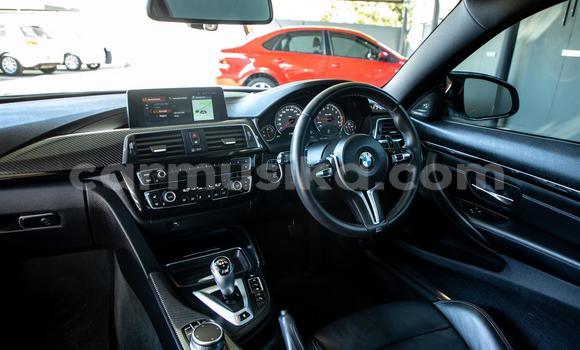 Tenga Tsaru BMW M4 Chena Mota in Beitbridge in Matabeleland South Tenga Tsaru BMW M4 Chena Mota in Beitbridge in Matabeleland South