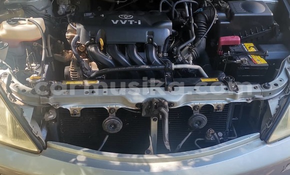 Buy Used Toyota Allion Silver Car in Harare in Harare Buy Used Toyota Allion Silver Car in Harare in Harare