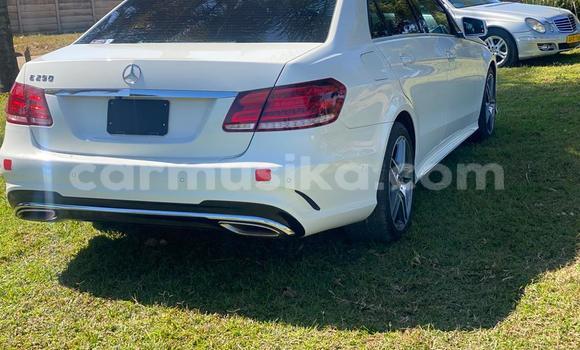 Acheter Import Voiture Mercedes-Benz E-Classe Blanc à Harare, Harare Acheter Import Voiture Mercedes-Benz E-Classe Blanc à Harare, Harare