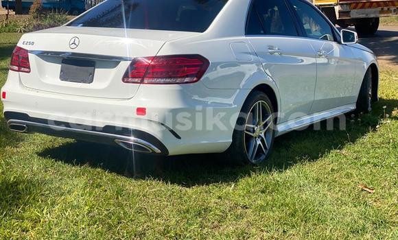Acheter Import Voiture Mercedes-Benz E-Classe Blanc à Harare, Harare Acheter Import Voiture Mercedes-Benz E-Classe Blanc à Harare, Harare