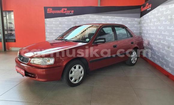 Tenga Tsaru Toyota Corolla Tsvuku Mota in Beitbridge in Matabeleland South