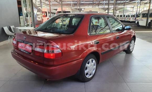 Buy Used Toyota Corolla Red Car in Beitbridge in Matabeleland South Buy Used Toyota Corolla Red Car in Beitbridge in Matabeleland South