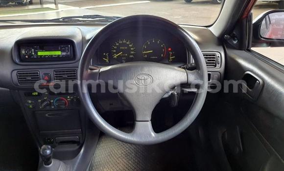 Buy Used Toyota Corolla Red Car in Beitbridge in Matabeleland South Buy Used Toyota Corolla Red Car in Beitbridge in Matabeleland South