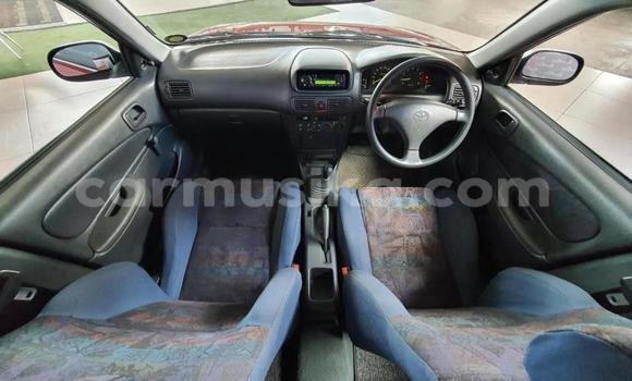 Buy Used Toyota Corolla Red Car in Beitbridge in Matabeleland South Buy Used Toyota Corolla Red Car in Beitbridge in Matabeleland South