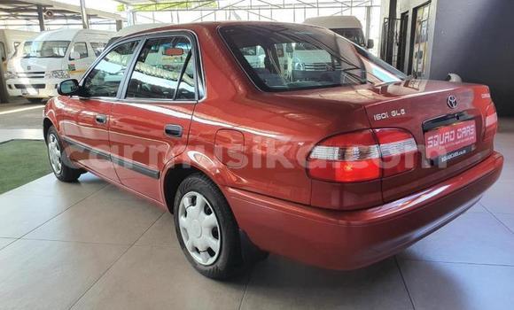 Buy Used Toyota Corolla Red Car in Beitbridge in Matabeleland South Buy Used Toyota Corolla Red Car in Beitbridge in Matabeleland South