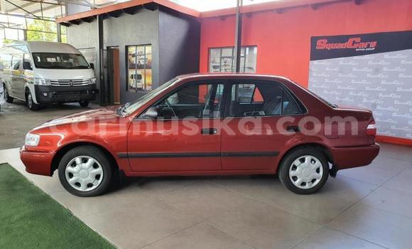 Buy Used Toyota Corolla Red Car in Beitbridge in Matabeleland South Buy Used Toyota Corolla Red Car in Beitbridge in Matabeleland South