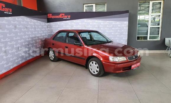 Buy Used Toyota Corolla Red Car in Beitbridge in Matabeleland South Buy Used Toyota Corolla Red Car in Beitbridge in Matabeleland South