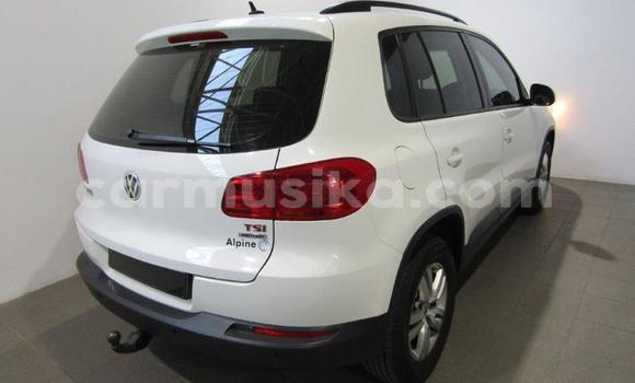 Buy Used Volkswagen Tiguan White Car in Beitbridge in Matabeleland South Buy Used Volkswagen Tiguan White Car in Beitbridge in Matabeleland South