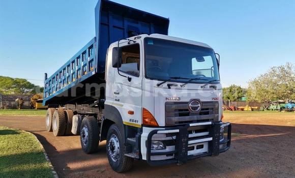 Nunua Ilio tumika Hino 300 Series Nyeupe Lori ndani ya Beitbridge nchini Matabeleland Kusini