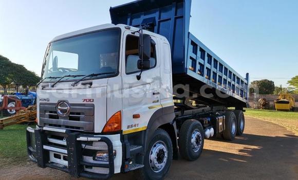 Buy Used Hino 300 Series White Truck in Beitbridge in Matabeleland South Buy Used Hino 300 Series White Truck in Beitbridge in Matabeleland South
