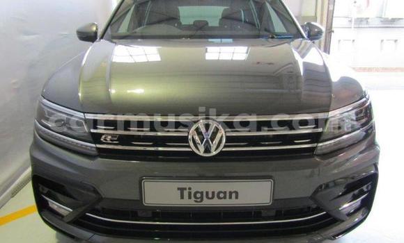 Tenga Tsaru Volkswagen Tiguan Sirivha Mota in Beitbridge in Matabeleland South Tenga Tsaru Volkswagen Tiguan Sirivha Mota in Beitbridge in Matabeleland South