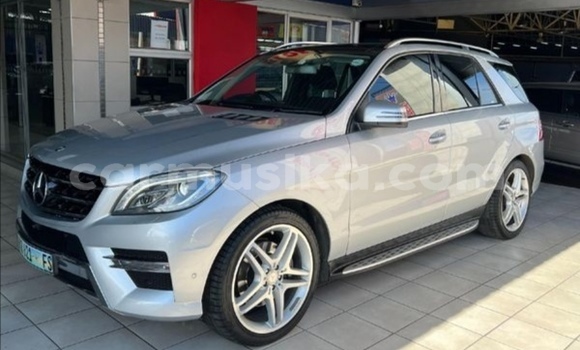 Tenga Tsaru Mercedes‒Benz ML–Class Sirivha Mota in Beitbridge in Matabeleland South Tenga Tsaru Mercedes‒Benz ML–Class Sirivha Mota in Beitbridge in Matabeleland South