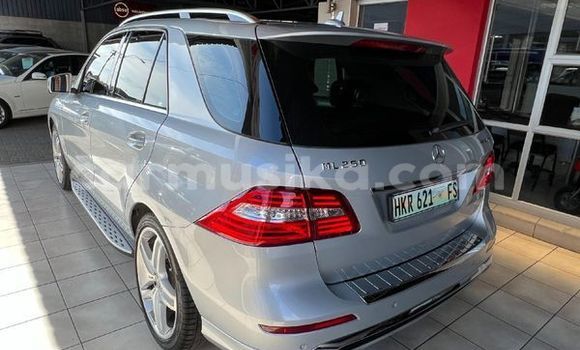 Tenga Tsaru Mercedes‒Benz ML–Class Sirivha Mota in Beitbridge in Matabeleland South Tenga Tsaru Mercedes‒Benz ML–Class Sirivha Mota in Beitbridge in Matabeleland South