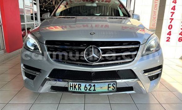 Tenga Tsaru Mercedes‒Benz ML–Class Sirivha Mota in Beitbridge in Matabeleland South Tenga Tsaru Mercedes‒Benz ML–Class Sirivha Mota in Beitbridge in Matabeleland South