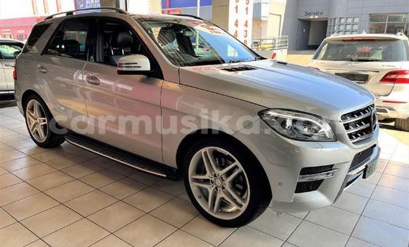 Tenga Tsaru Mercedes‒Benz ML–Class Sirivha Mota in Beitbridge in Matabeleland South Tenga Tsaru Mercedes‒Benz ML–Class Sirivha Mota in Beitbridge in Matabeleland South