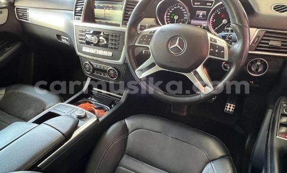 Tenga Tsaru Mercedes‒Benz ML–Class Sirivha Mota in Beitbridge in Matabeleland South Tenga Tsaru Mercedes‒Benz ML–Class Sirivha Mota in Beitbridge in Matabeleland South