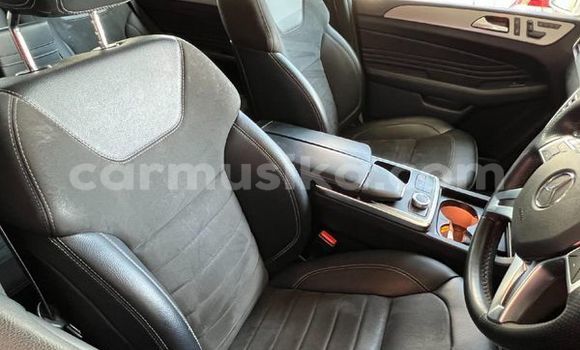 Tenga Tsaru Mercedes‒Benz ML–Class Sirivha Mota in Beitbridge in Matabeleland South Tenga Tsaru Mercedes‒Benz ML–Class Sirivha Mota in Beitbridge in Matabeleland South