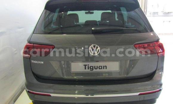 Tenga Tsaru Volkswagen Tiguan Sirivha Mota in Beitbridge in Matabeleland South Tenga Tsaru Volkswagen Tiguan Sirivha Mota in Beitbridge in Matabeleland South