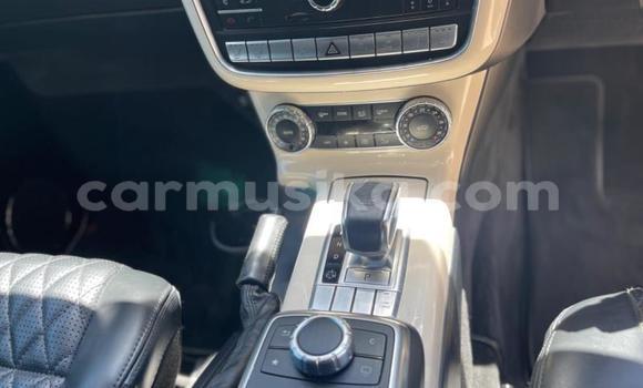 Tenga Tsaru Mercedes‒Benz G-klasse Chena Mota in Beitbridge in Matabeleland South Tenga Tsaru Mercedes‒Benz G-klasse Chena Mota in Beitbridge in Matabeleland South