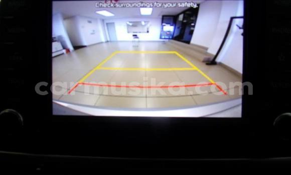 Tenga Tsaru Kia Rio Sirivha Mota in Beitbridge in Matabeleland South Tenga Tsaru Kia Rio Sirivha Mota in Beitbridge in Matabeleland South