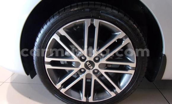 Tenga Tsaru Kia Rio Sirivha Mota in Beitbridge in Matabeleland South Tenga Tsaru Kia Rio Sirivha Mota in Beitbridge in Matabeleland South