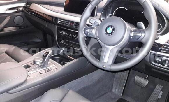 Tenga Tsaru BMW X6 Chena Mota in Beitbridge in Matabeleland South Tenga Tsaru BMW X6 Chena Mota in Beitbridge in Matabeleland South