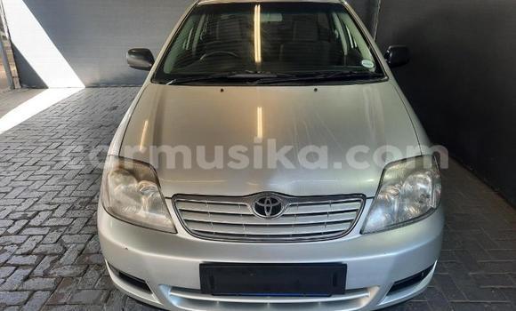 Acheter Occasion Voiture Toyota Corolla Gris à Beitbridge, Matabeleland South Acheter Occasion Voiture Toyota Corolla Gris à Beitbridge, Matabeleland South