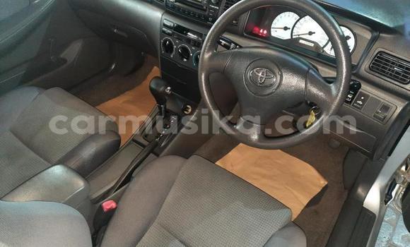 Acheter Occasion Voiture Toyota Corolla Gris à Beitbridge, Matabeleland South Acheter Occasion Voiture Toyota Corolla Gris à Beitbridge, Matabeleland South