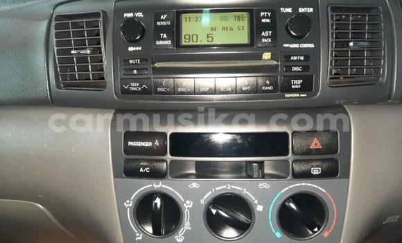 Acheter Occasion Voiture Toyota Corolla Gris à Beitbridge, Matabeleland South Acheter Occasion Voiture Toyota Corolla Gris à Beitbridge, Matabeleland South