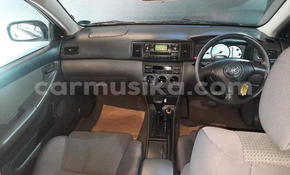 Acheter Occasion Voiture Toyota Corolla Gris à Beitbridge, Matabeleland South Acheter Occasion Voiture Toyota Corolla Gris à Beitbridge, Matabeleland South