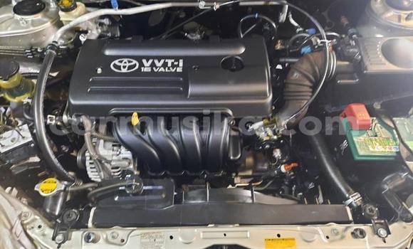 Acheter Occasion Voiture Toyota Corolla Gris à Beitbridge, Matabeleland South Acheter Occasion Voiture Toyota Corolla Gris à Beitbridge, Matabeleland South