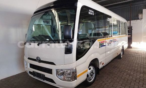 Tenga Tsaru Toyota Coaster Chena Mota in Beitbridge in Matabeleland South