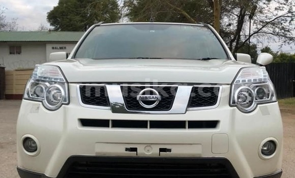 Buy New Nissan XâTrail White Car in Harare in Harare Buy New Nissan XâTrail White Car in Harare in Harare