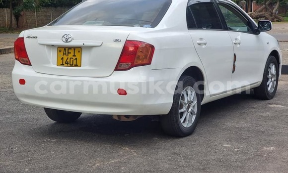 Nunua Ilio tumika Toyota Axio Nyeupe Gari ndani ya Harare nchini Harare Nunua Ilio tumika Toyota Axio Nyeupe Gari ndani ya Harare nchini Harare