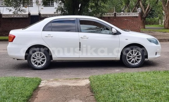 Nunua Ilio tumika Toyota Axio Nyeupe Gari ndani ya Harare nchini Harare Nunua Ilio tumika Toyota Axio Nyeupe Gari ndani ya Harare nchini Harare