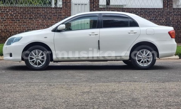 Nunua Ilio tumika Toyota Axio Nyeupe Gari ndani ya Harare nchini Harare Nunua Ilio tumika Toyota Axio Nyeupe Gari ndani ya Harare nchini Harare