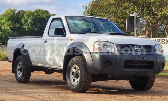 Nunua Ilio tumika Nissan NP 300 Nyeupe Gari ndani ya Harare nchini Harare Nunua Ilio tumika Nissan NP 300 Nyeupe Gari ndani ya Harare nchini Harare