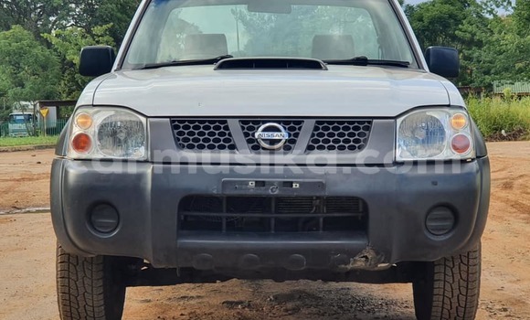 Nunua Ilio tumika Nissan NP 300 Nyeupe Gari ndani ya Harare nchini Harare Nunua Ilio tumika Nissan NP 300 Nyeupe Gari ndani ya Harare nchini Harare