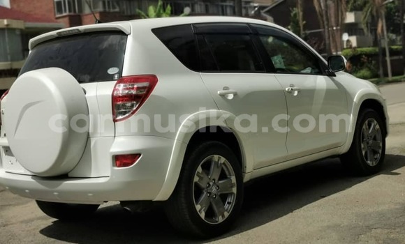 Tenga Tsaru Toyota RAV4 Chena Mota in Harare in Harare Tenga Tsaru Toyota RAV4 Chena Mota in Harare in Harare