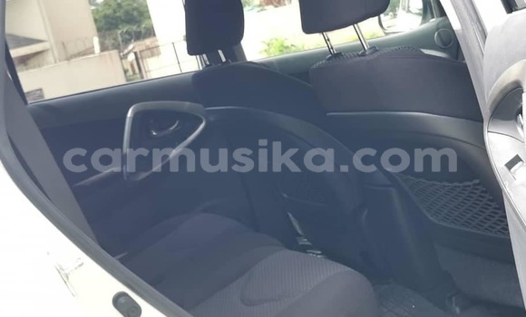 Tenga Tsaru Toyota RAV4 Chena Mota in Harare in Harare Tenga Tsaru Toyota RAV4 Chena Mota in Harare in Harare