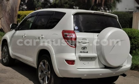 Tenga Tsaru Toyota RAV4 Chena Mota in Harare in Harare Tenga Tsaru Toyota RAV4 Chena Mota in Harare in Harare