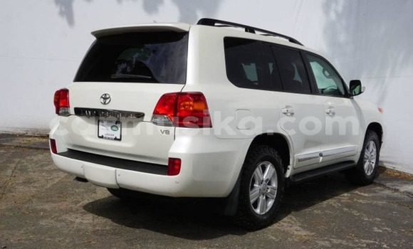 Tenga Tsaru Toyota Land Cruiser Chena Mota in Alexandra Park in Harare