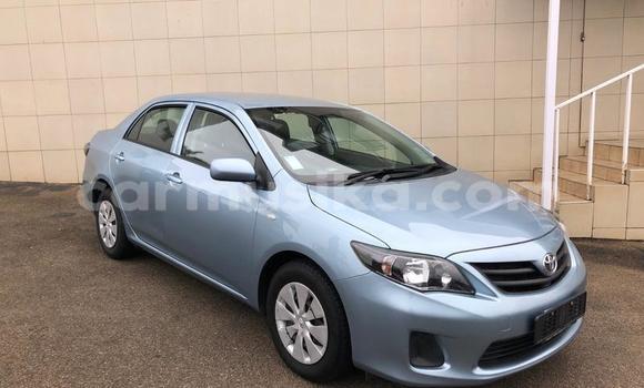 Buy Used Toyota Corolla Other Car in Beitbridge in Matabeleland South Buy Used Toyota Corolla Other Car in Beitbridge in Matabeleland South