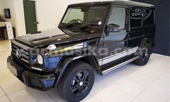 Tenga Tsaru Mercedes‒Benz G-klasse AMG Nhema Mota in Beitbridge in Matabeleland South